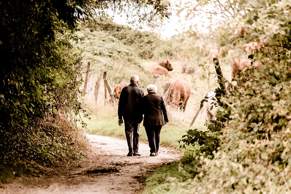 Még a napközbeni rövid séták is jelentős pozitív hatással lehetnek az emlékezőképességünkre, főleg időskorban!