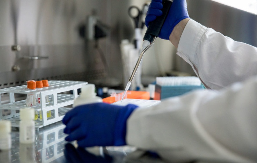 Új diagnosztikai és terápiás eljárásokat fejleszthet ki a Semmelweis Egyetem